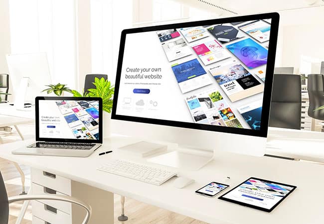 Premium License Theme & Plugins