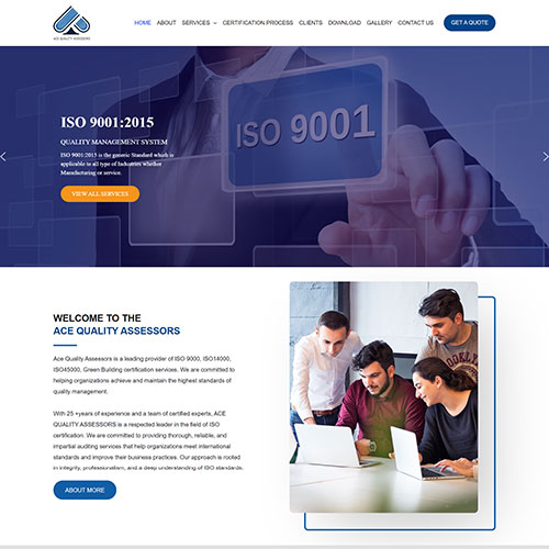 ACE Quality Assessors